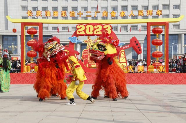 图片12